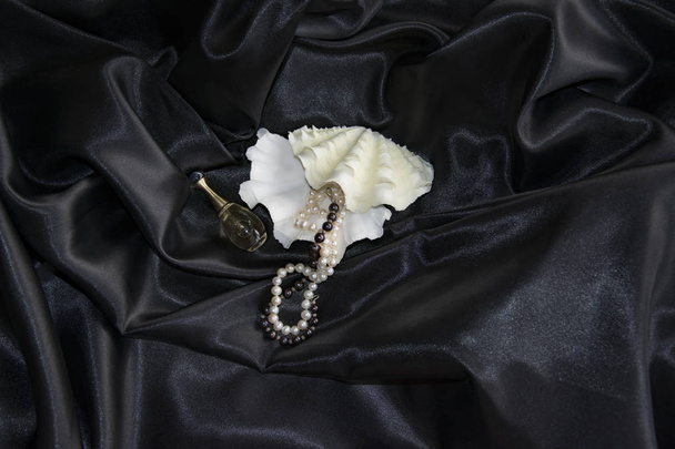 on black silk are figured shells, pearl necklaces, perfume, fash - Photo, Image