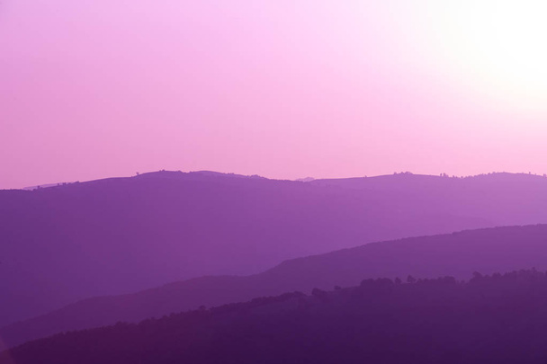 ultra violet purple summer landscape - Photo, Image