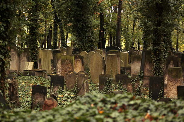 Friedhof... - Foto, Imagem