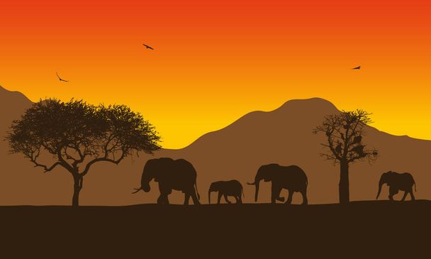 Realistic illustration of African landscape with safari, trees and family of elephants under orange sky with rising sun. Mountains with flying birds in background - vector - Vector, Image