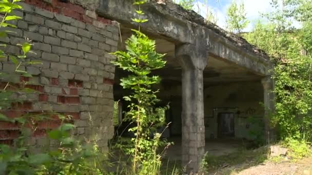 Derelict house walls overgrown with trees and plants - Footage, Video