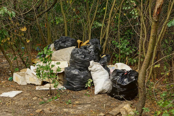 vuile zakken van de Prullenbak in de buurt van een boom in het gras in het bos - Foto, afbeelding