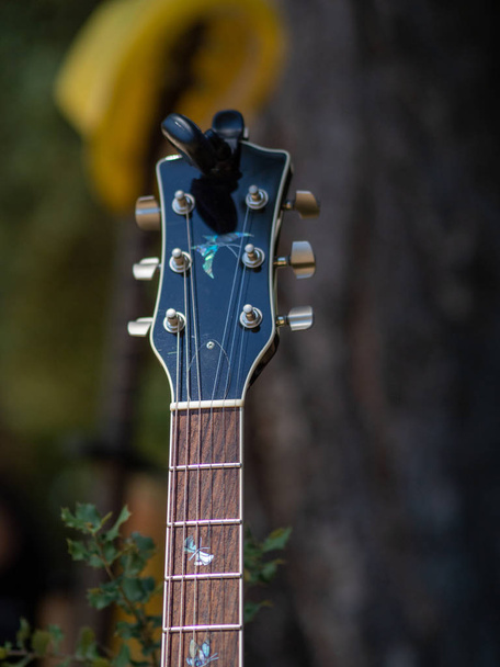 guitarra descansando em uma árvore esperando para retomar o concerto
 - Foto, Imagem