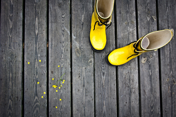 Yellow boots - Photo, Image