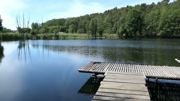 Lake nombra a Trintsee en Havelland Alemania. Paisaje en verano con caña y bosque alrededor
. - Metraje, vídeo
