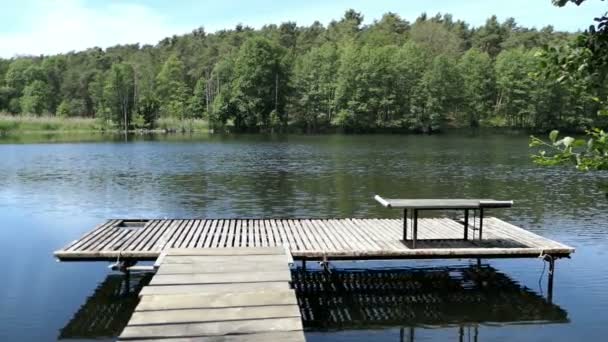 Lake nombra a Trintsee en Havelland Alemania. Paisaje en verano con caña y bosque alrededor
. - Imágenes, Vídeo