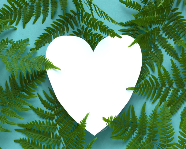 Fern Leaves and Heart - Фото, зображення
