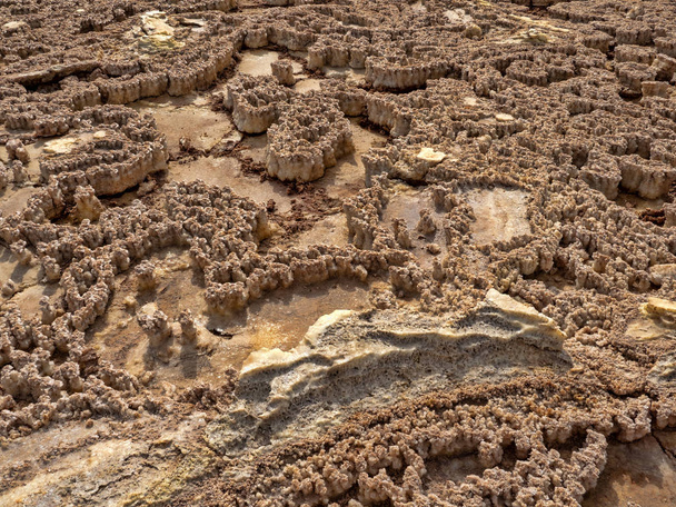 Los cristales de sal en la depresión de Danakil crean cráteres sólidos de varios tamaños. Etiopía
 - Foto, imagen