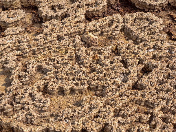 Οι κρύσταλλοι αλατιού στην κατάθλιψη Danakil δημιουργούν συμπαγείς κρατήρες διαφόρων μεγεθών. Αιθιοπία - Φωτογραφία, εικόνα
