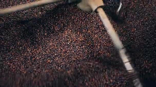 Factory machine is stirring coffee beans - Felvétel, videó