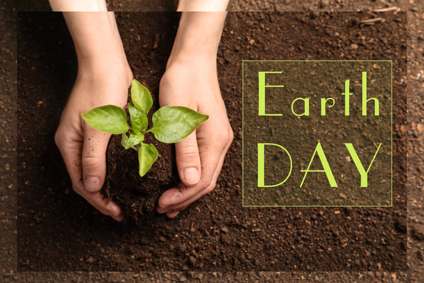Woman holding green seedling on soil, top view. Earth Day - Photo, image