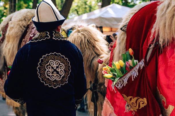Kazakstanin kansallispukuinen mies seisoo kamelien taustalla. Kävele Arbat Streetiä pitkin Shymkentin kaupungissa. Festivaali kukkia Kazakstanissa
. - Valokuva, kuva