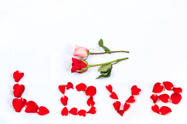 赤とピンクのバラと、バレンタインデーにぴったりの白い背景に孤立した赤いバラを綴った言葉の愛 - 写真・画像