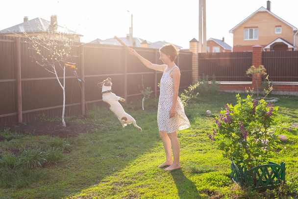 Kobieta bawi się ze swoim psem na zewnątrz. Pies skacze, by złapać kij. - Zdjęcie, obraz