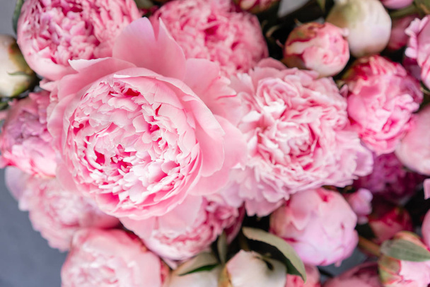 Floral carpet or Wallpaper. Background of pink peonies. Morning light in the room. Beautiful peony flower for catalog or online store. Floral shop and delivery concept . - Photo, Image