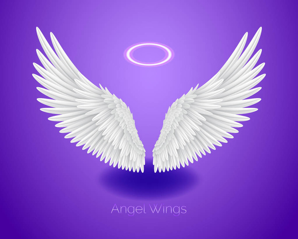 Белые крылья ангела и сияющие нимбы, реалистичные перья
 - Вектор,изображение