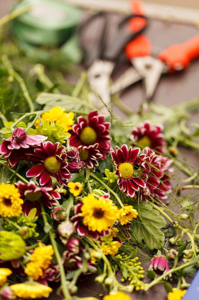 Secateurs with flowers - Fotografie, Obrázek