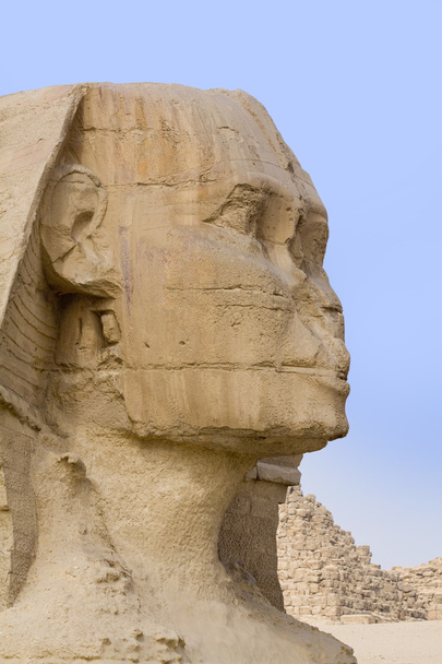La face en pierre du Sphinx
 - Photo, image
