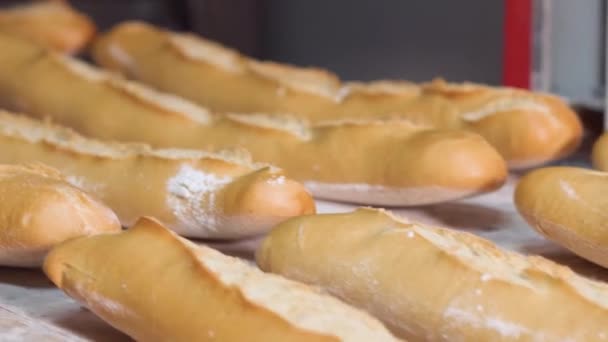 Gebakken brood in de bakkerij, net buiten de oven met een mooie gouden kleur beweegt langs een transportband. Productie van wit brood. - Video