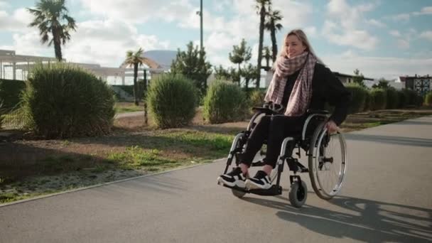 Šťastná mladá ženská vozíčkářka chodí v parku za slunečného dne - Záběry, video