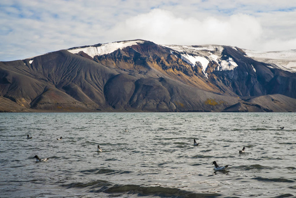 Górzysty krajobraz na wyspie Deception, Antarktyda - Zdjęcie, obraz