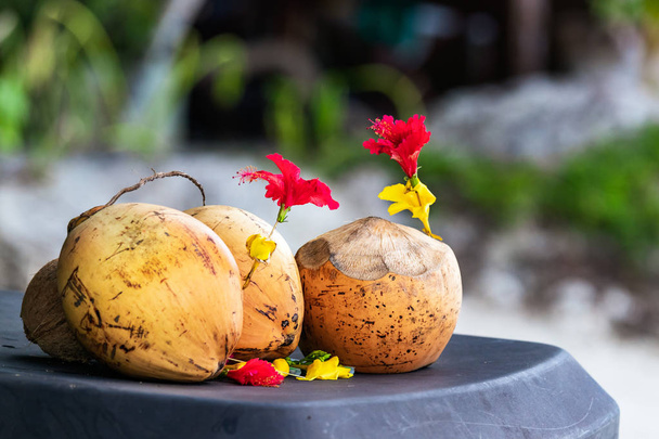 Three coconuts on a table outdoors in Praslin, Seychelles. - Valokuva, kuva