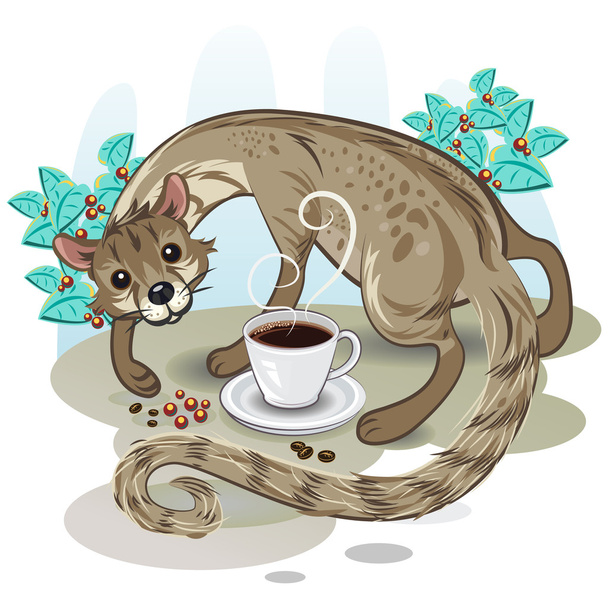 Zibetkaffee kopi luwak - Vektor, Bild