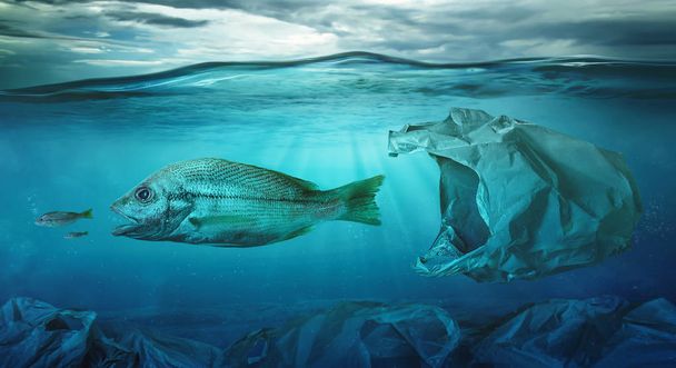 Peixe nada entre saco plástico poluição oceânica. Conceito de ambiente
 - Foto, Imagem