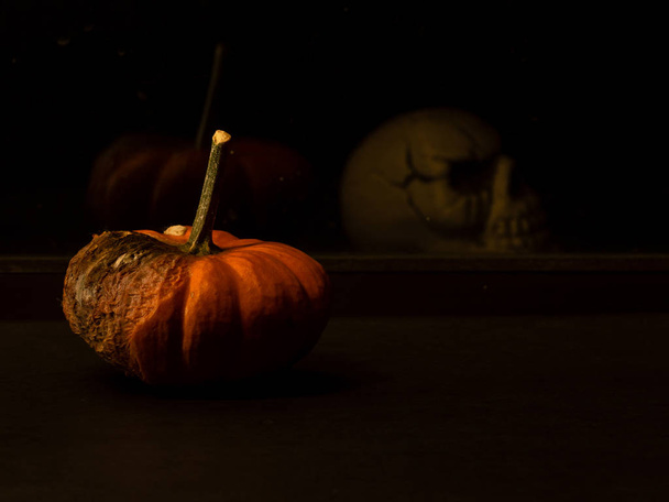 Spooky halloween composition with pumpkin and skull - Foto, Imagen