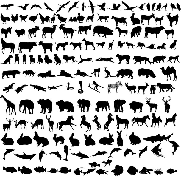 εκατοντάδες διαφορετικά ζώα - Διάνυσμα, εικόνα
