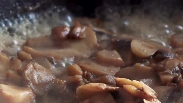 pasta with mushrooms in a pan - Footage, Video