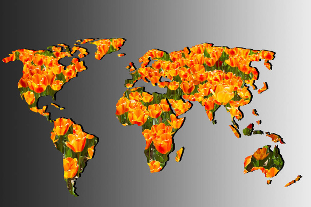 Lale Bahçe dolgulu ile kabaca Seviyelendirilmiş Dünya Haritası - Fotoğraf, Görsel