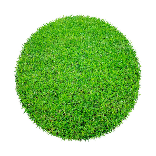 Αφηρημένη πράσινη υφή γρασίδι για φόντο. Κύκλος πράσινο μοτίβο γρασίδι απομονώνονται σε λευκό φόντο με περικοπή διαδρομής. - Φωτογραφία, εικόνα