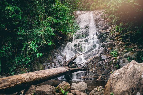 background Wallpaper nature Forest Hill Waterfall. Thailand doi inthanon  - Φωτογραφία, εικόνα