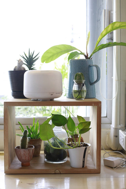 wood block shelf for pot plants - Photo, Image