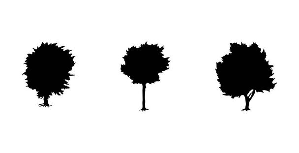 Stromy mají tři černé siluety na bílém pozadí. Kolekce různých forem. Vektorová ilustrace - Vektor, obrázek