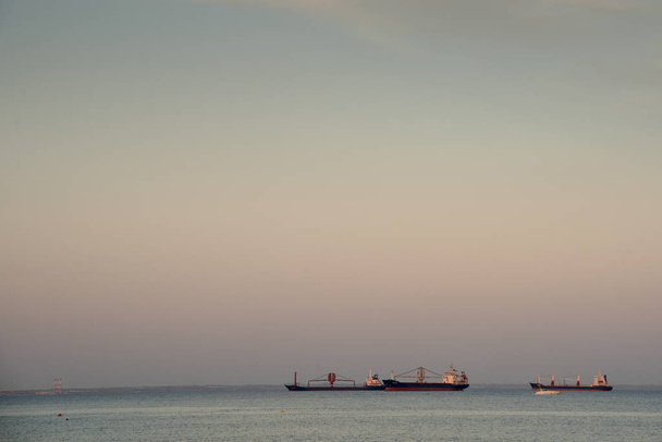 Industrial cargo ships anchored in the ocean - Фото, изображение