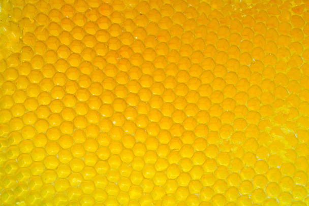 Close-up van een honingraatstructuur - Foto, afbeelding