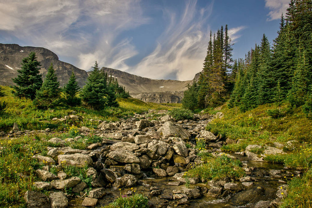 Вид на долину вокруг перевала Маленькая Лопата в Скалистых горах, Национальный парк Джаспер, Альберта, Канада
 - Фото, изображение