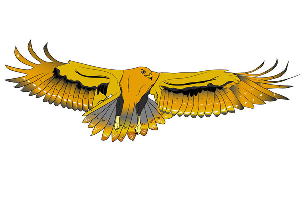 Vector wild bird. Bird of prey. Flying bird. White background. - Vecteur, image