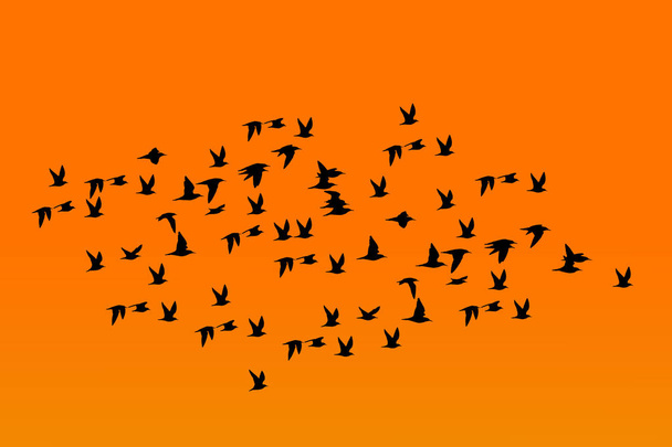 Repülő madarak. Absztrakt madarak. Fehér háttér. A szabadság természetének háttere. - Vektor, kép