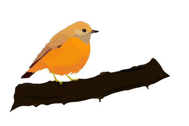 Cute bird. Bird on a branch. Vector image. White background. - Vector, Image