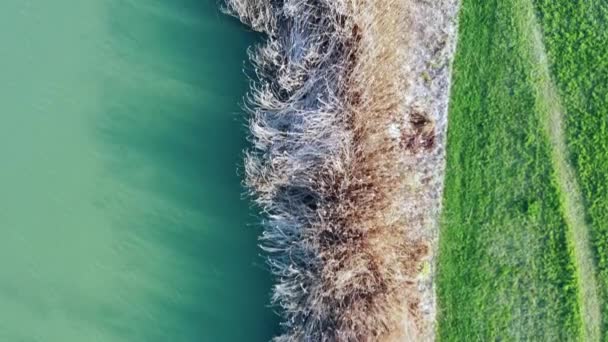 Aerial view of a lake and trees in Magny-le-Hongre - Footage, Video