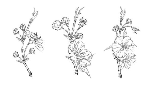 Vector Floral grafische compositie met lente bloemen - Vector, afbeelding