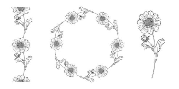 vettore bianco e nero contorno disposizione floreale con fiori di camomilla
  - Vettoriali, immagini