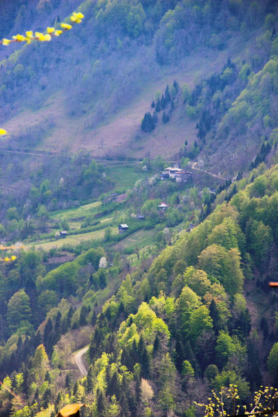 Aldeia nas montanhas da Geórgia, Adjara, primavera
 - Foto, Imagem