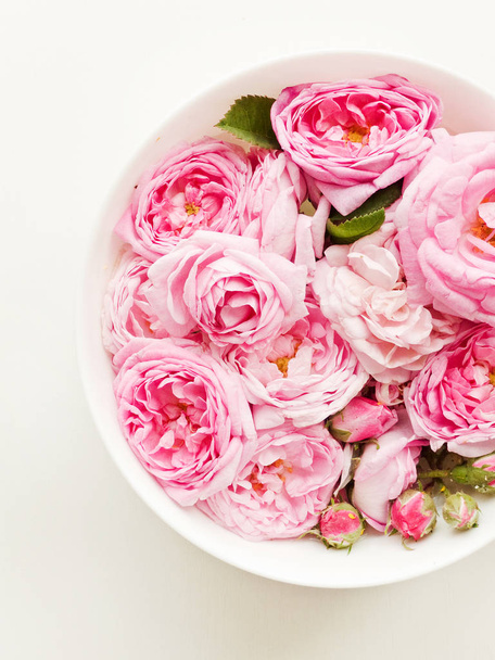 Tea rose background - Фото, зображення