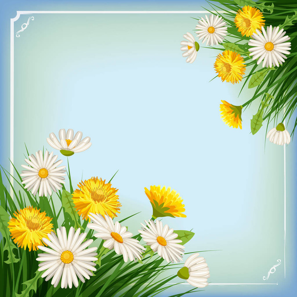 Fresh spring background with grass, dandelions and daisies template baner - Vektör, Görsel