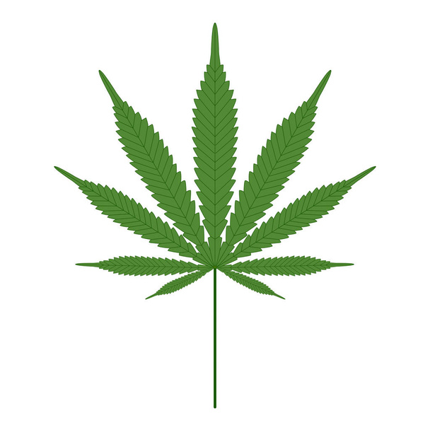 Cannabis (medical marijuana) single leaf isolated - Vector, afbeelding
