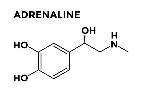 Adrenalis mirigy hormon adrenalin-epinefrin  - Fotó, kép